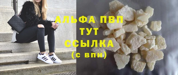 стаф Волоколамск