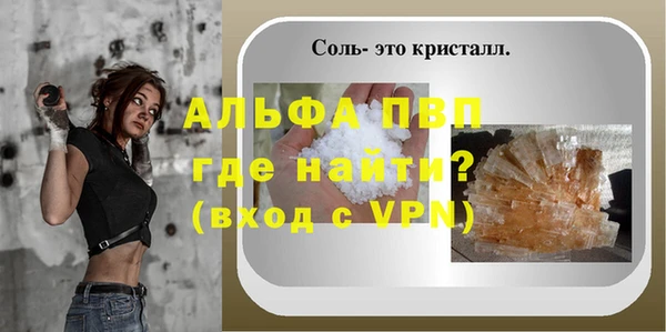 стаф Волоколамск