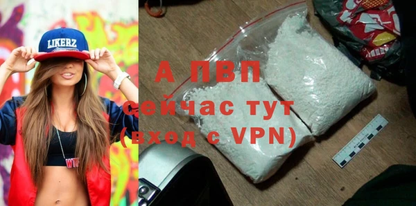 стаф Волоколамск