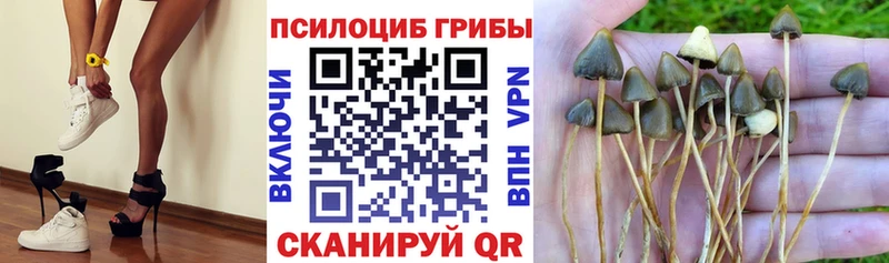 Галлюциногенные грибы Magic Shrooms  продажа наркотиков  Кремёнки 